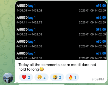 testi2026-02
